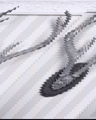 Decoratiune cu coarne din cerb