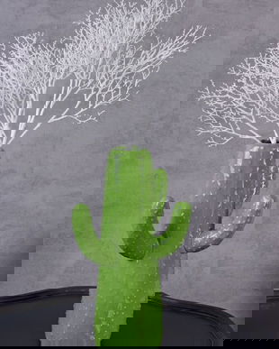 Vas cactus din ceramica