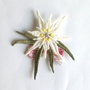 Brosa brodata  Floare de Colt
