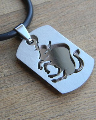 Pandantiv inox (PI 14)