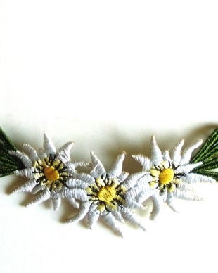 Colier Flori de colt  Edelweiss