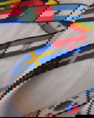 nou-Cordon cu steaguri