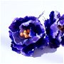 Rezervat - Cercei Violete de Parma cu tortite de argint