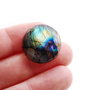 Cabochon Labradorit  rotund - 21 mm  - spectrolit - Q14