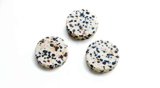 Discuri plate - dalmatian jasper