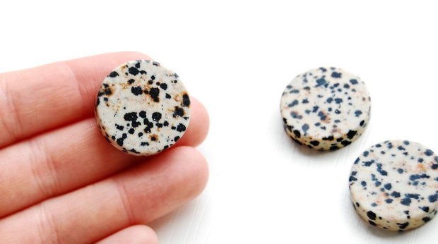 Discuri plate - dalmatian jasper