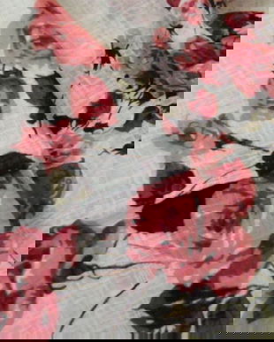 NOU-Esarfa cu trandafiri