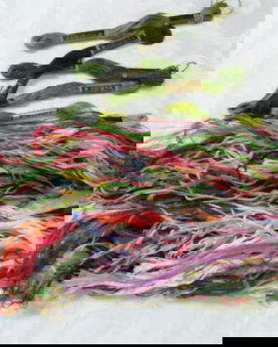 Ața colorata mouline