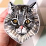 Brosa- The Spoiled Cat