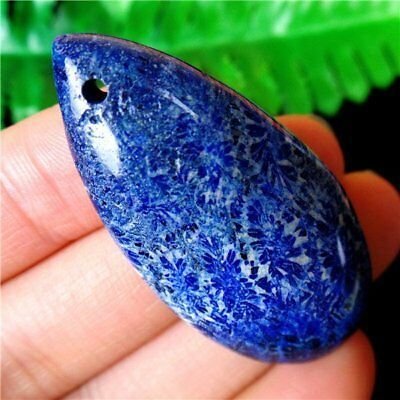 Pandant blue coral fossil