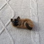 Brosa/ornament `Birmaneza`