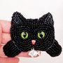 Clama Par/Brosa- The Black Cat