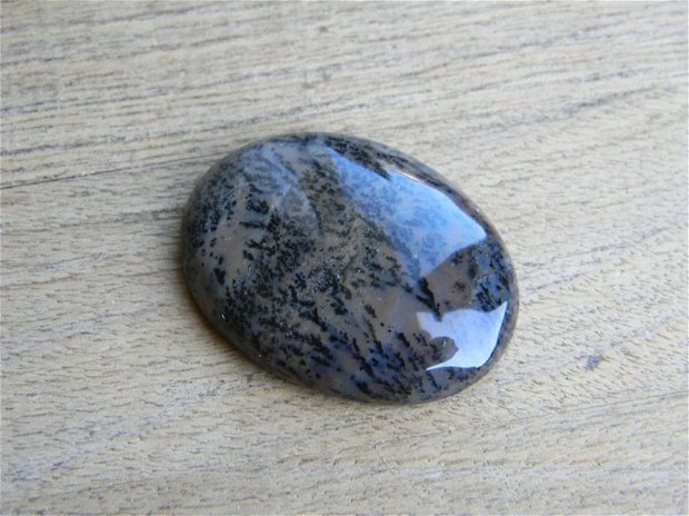 Caboson opal dendritic (C39)
