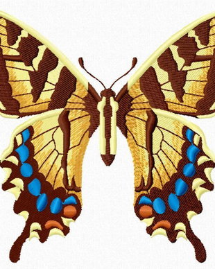Fluture multicolor Coada rândunicii