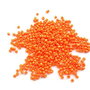 LMN229 - (50g) margele nisip