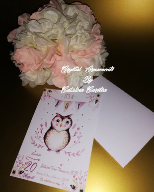 Invitatie botez bufnita