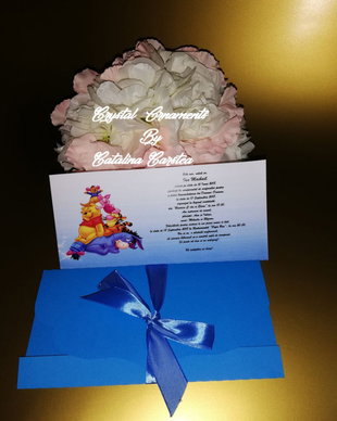 Invitatie botez Winnie and friends