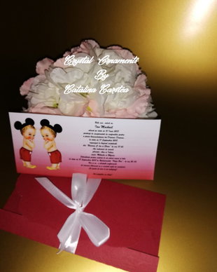 Invitatie botez gemeni