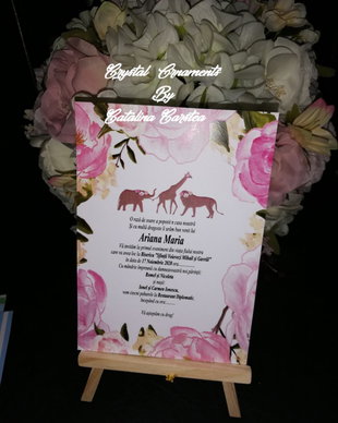 Invitatie botez jungle
