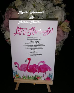 Invitatie botez Flamingo
