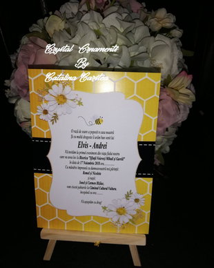 Invitatie botez albinuta