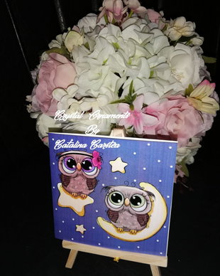 Invitatie botez gemeni bufnite
