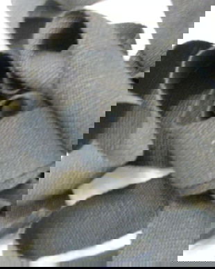 Chinga de iuta 4,30M