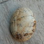 Cabochon picture jasper, 40x30 mm