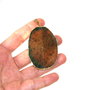 Pandativ agate felie