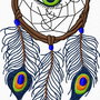 Dreamcatcher Peacocks Feathers brodat pe organza