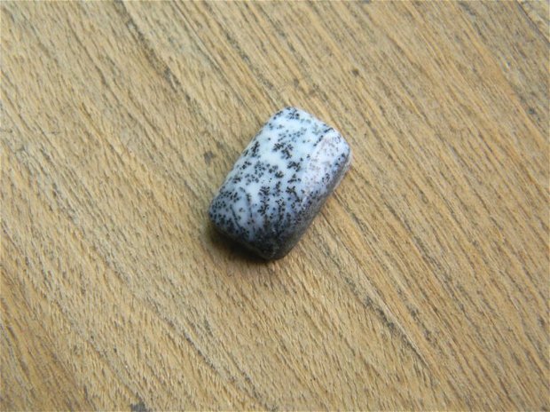 Caboson opal dendritic (C46)