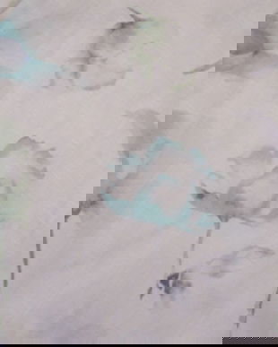 Set 2 huse perne decor