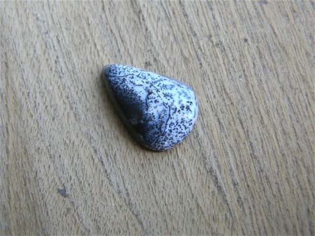 Caboson opal dendritic (C26)