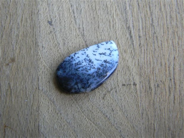 Caboson opal dendritic (C26)