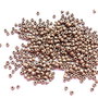 LMN300 - (50g) margele nisip