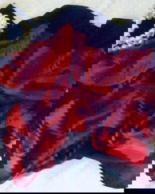 Esarfa mătase naturala bordo