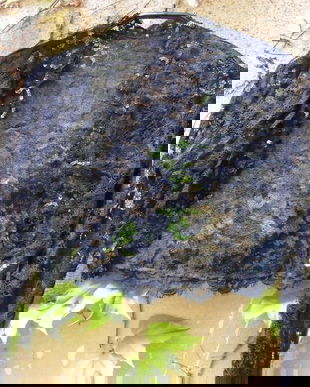 Bolero-shrug din  dantela