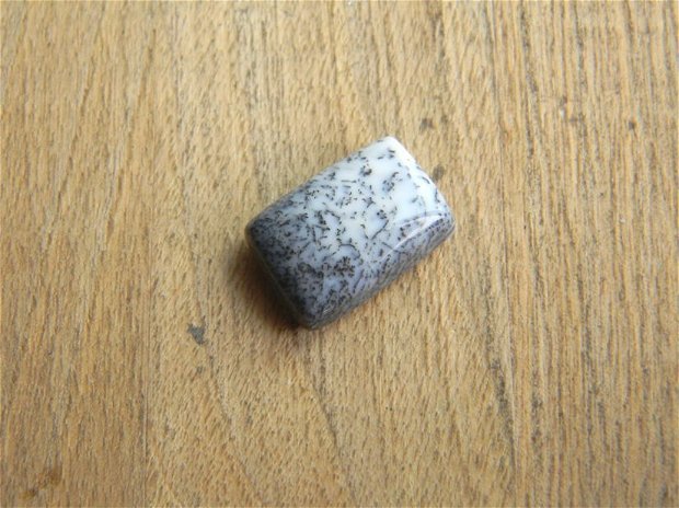 Caboson opal dendritic (C22)