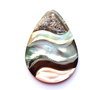 LPsidef25 - pandantiv scoica Abalone