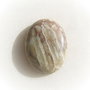Cabochon coral fosil aprox 40x30x8 mm