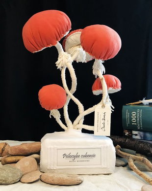 Ciuperci decor