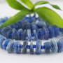 Kyanite 9~10x1.5~5mm (1)