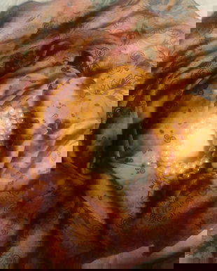 Esarfa  2,3x1,1m , voal imprimat