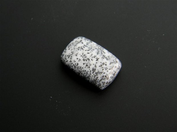 Caboson opal dendritic (C56)