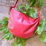 Poseta rosu-coral