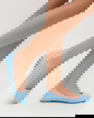 Balerini Logat Albastri 2