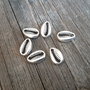 Scoica cowrie link, conector 12x8mm     SALAK 635