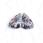 Pereche Coral Fosil - cabochoane - CR1