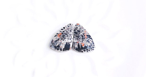 Pereche Coral Fosil - cabochoane - CR1