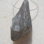 Silver Titanium Quartz 1 aprox 40x19 mm